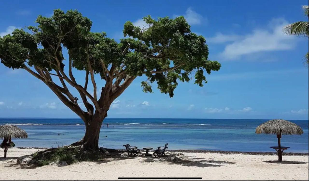 Le 35 Anse Des Rochers Saint-Francois المظهر الخارجي الصورة