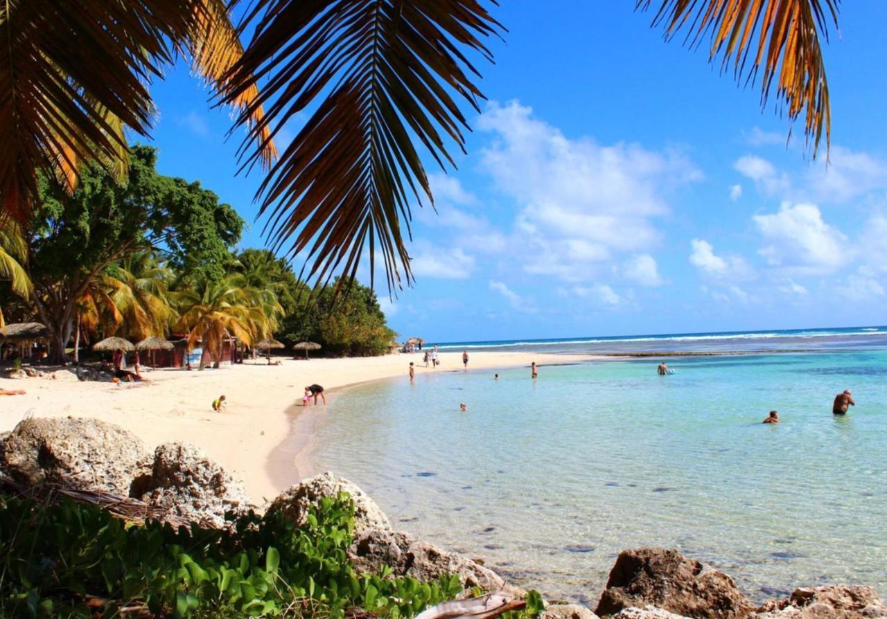 Le 35 Anse Des Rochers Saint-Francois المظهر الخارجي الصورة